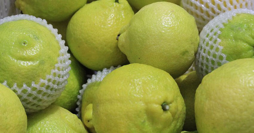 顺丰礼盒装象山青柑橘春香柑橘新鲜黄金水果礼盒装6斤