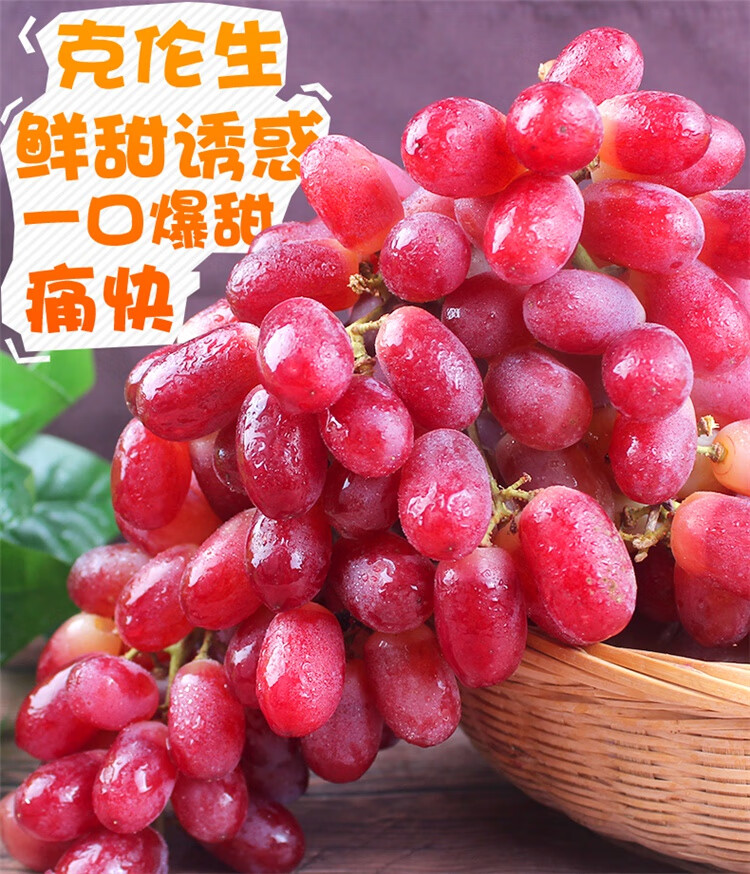 无籽红提子 克伦生新鲜脆甜无籽葡萄当季孕妇水果整箱 5斤【土豪装】
