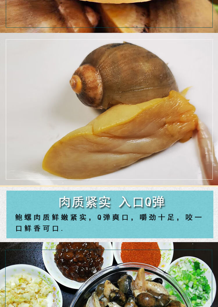鲍螺老婆脚海鲜鲜活假鲍鱼螺网红珍珠鲍螺带壳速冻鲍鱼螺黄金鲍螺大号