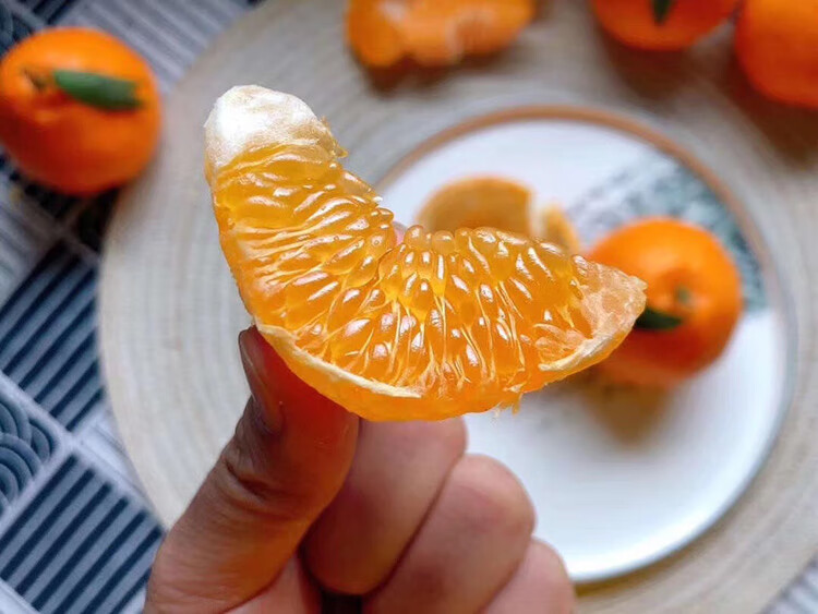 *晨臻顺丰直达寸金地春见粑粑柑桔子日本引进品种当季水果甜多汁8斤