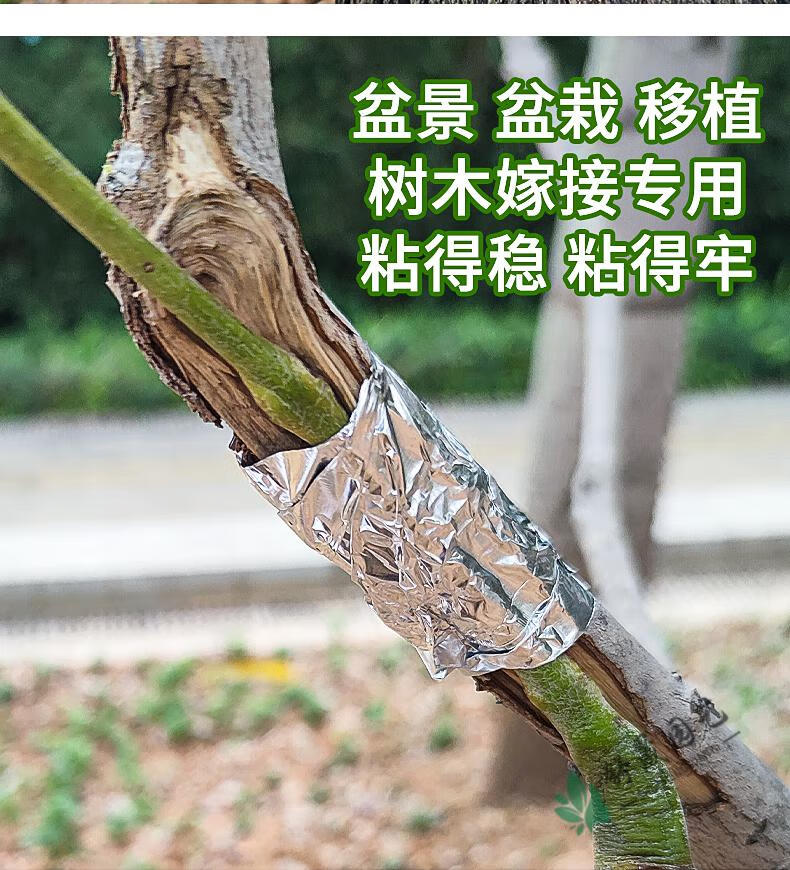 盆景树木嫁接强力专用铝箔胶带园林果树花木植物嫁接促进树木切口创面
