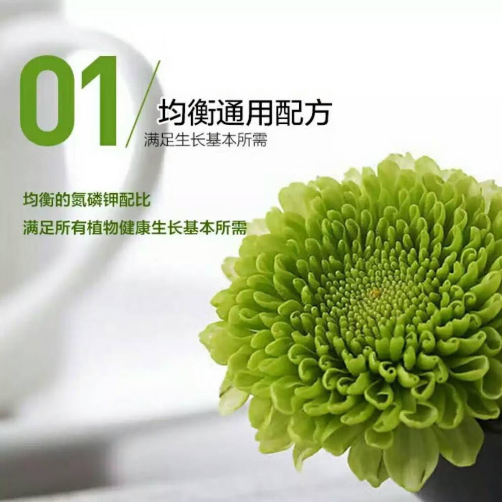 阳台种菜无土栽培蔬菜营养液面肥通用型水培设备植物花肥料盆栽叶 500