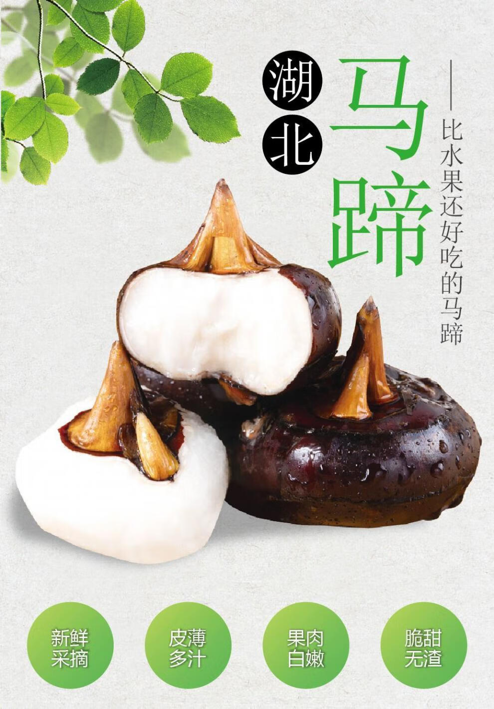 湖北新鲜马蹄荸荠当季水果现挖马蹄莲荠孛珍珠果脆地栗地梨饽荠3斤装