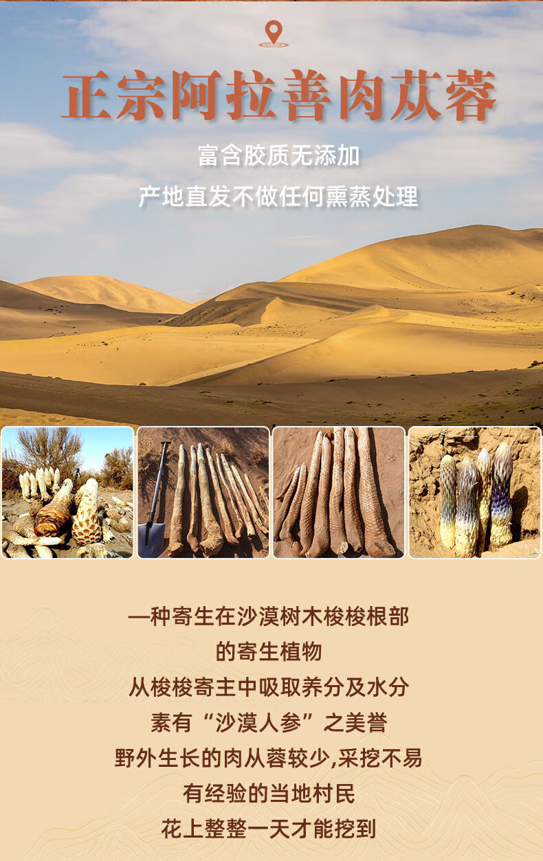 正宗阿拉善肉苁蓉野生油苁蓉男性泡酒泡水整根切片大秋冬大货250克6年