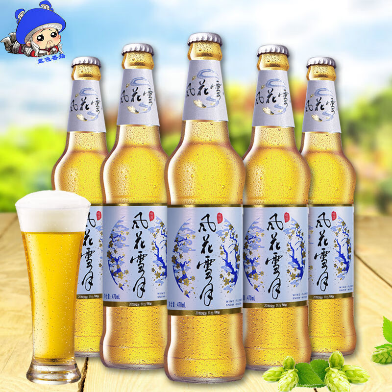 云南大理v8啤酒瓶装云南特产听装风花雪月大理v8罐装小麦啤酒整箱 470