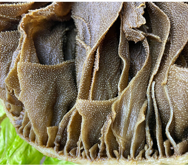 水发毛肚带底板新鲜冷冻重庆食材牛百叶千层肚火锅配菜牛杂肚白百叶丝