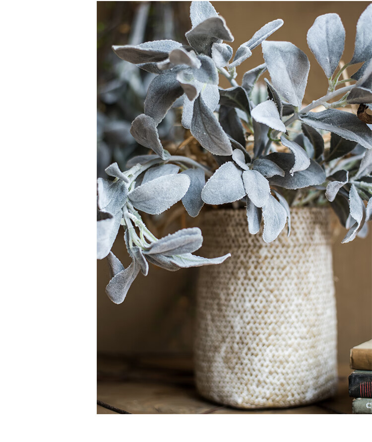 掬涵银叶菊仿真植物花艺配叶绿植插花装饰桌面摆件北欧美式霜叶一支高