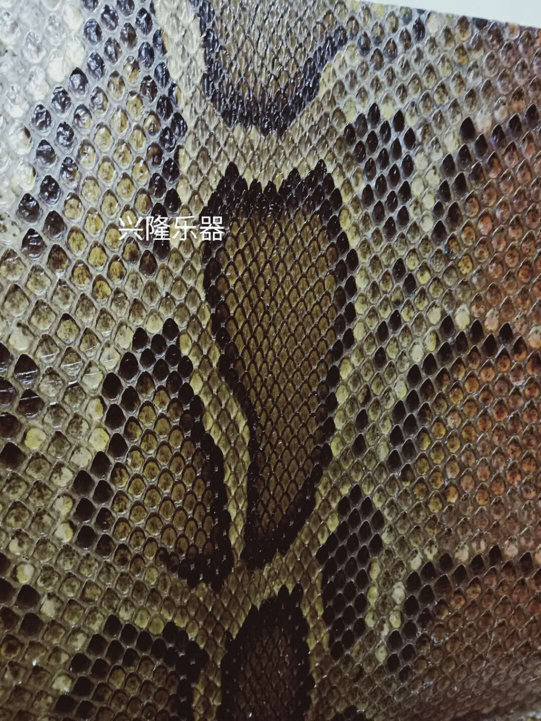 二胡配件蟒皮,厚皮蒙皮单块三弦皮高胡蒙皮乐器维修皮蒙皮胶 45公分45