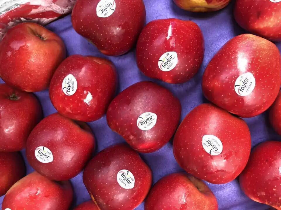 【顺丰现货】新西兰进口红玫瑰苹果 queen皇后苹果 红玫瑰12个(140