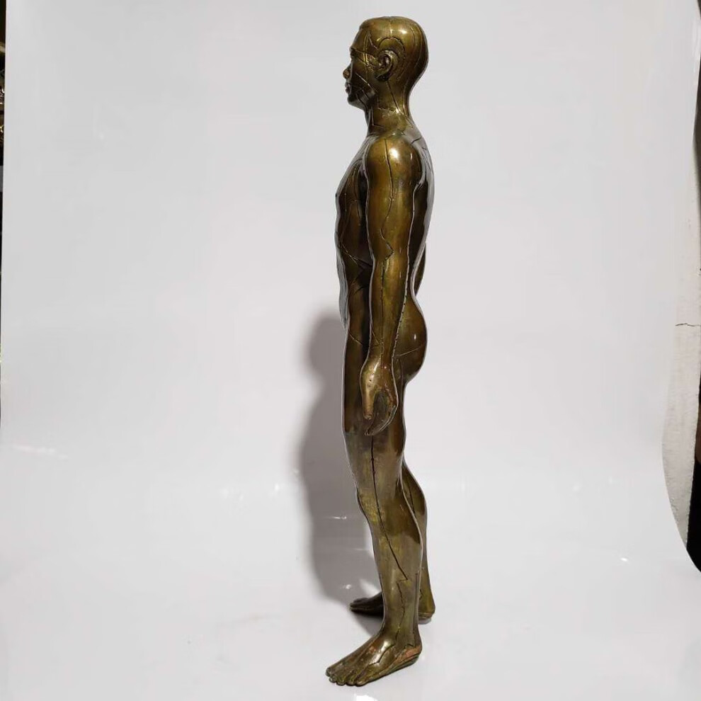 模型铜人艾灸经络图中医药王医馆展示摆件 纯铜宋代穴位人小号【图片
