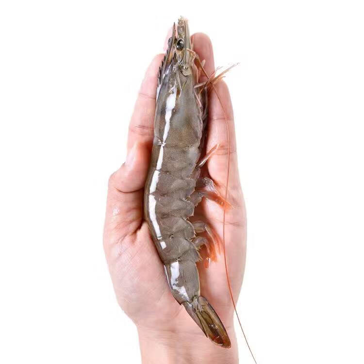 正大对虾 big paw shrimp vietnam 350g 7-11pcs 正大对虾【图片 价格
