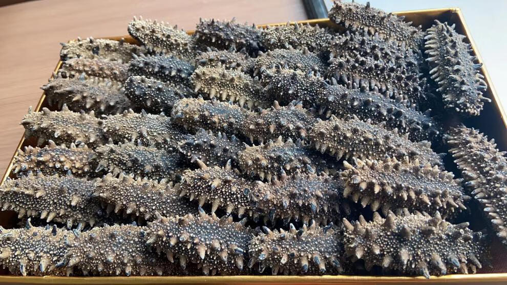 日本关东参北海道海参六排刺纯淡干关东海参北海道红参干货50g优选79