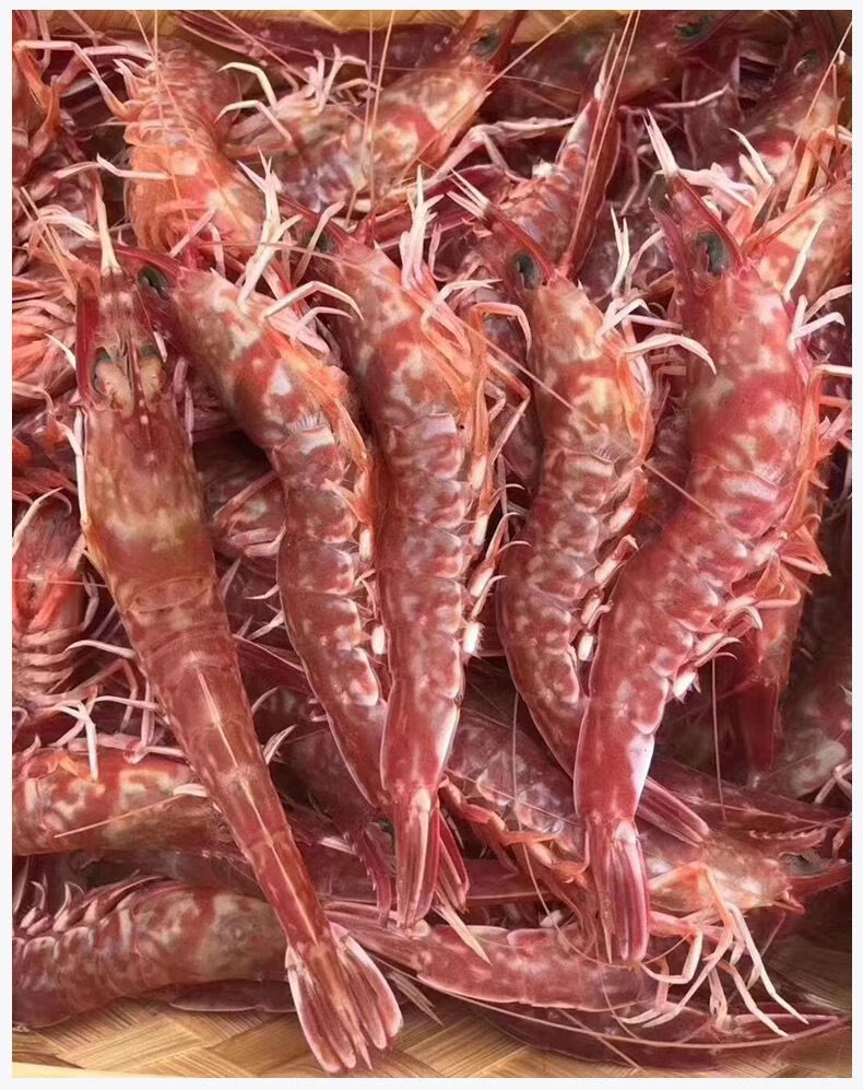 樱花虾厚壳虾海虾900g火焰虾玫瑰虾东山海捕红虾樱花虾鲜活 刺身白灼