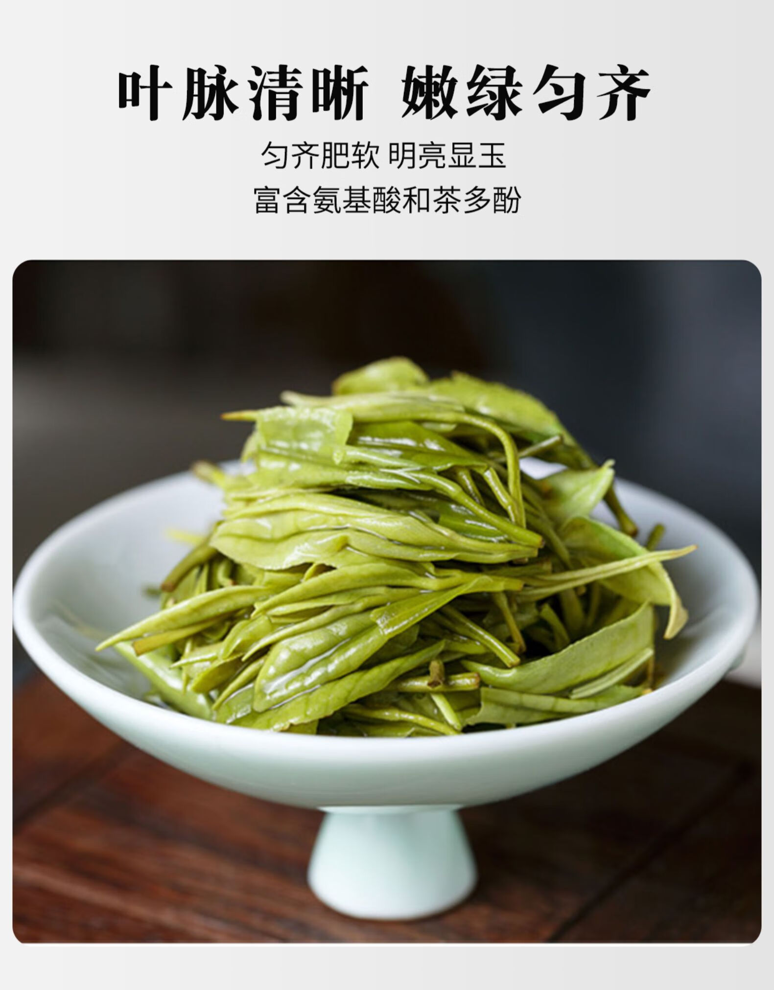 溧阳白茶新茶茗茶江苏常州特产绿茶茶叶礼盒装
