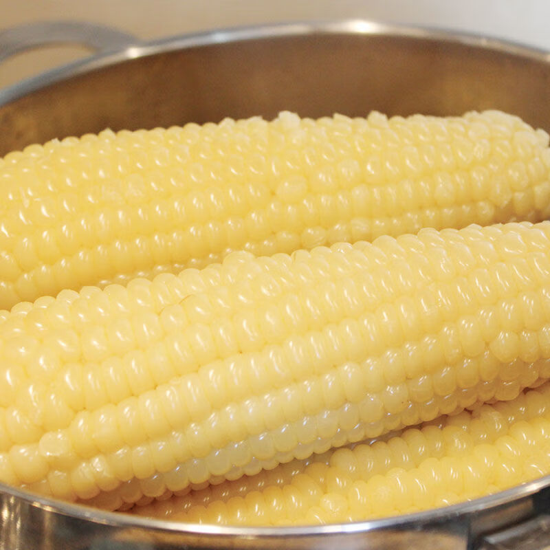 大董速冻甜糯玉米白嫩粘水煮糯玉米 黏软糯新鲜糯玉米棒 2包(8支装)