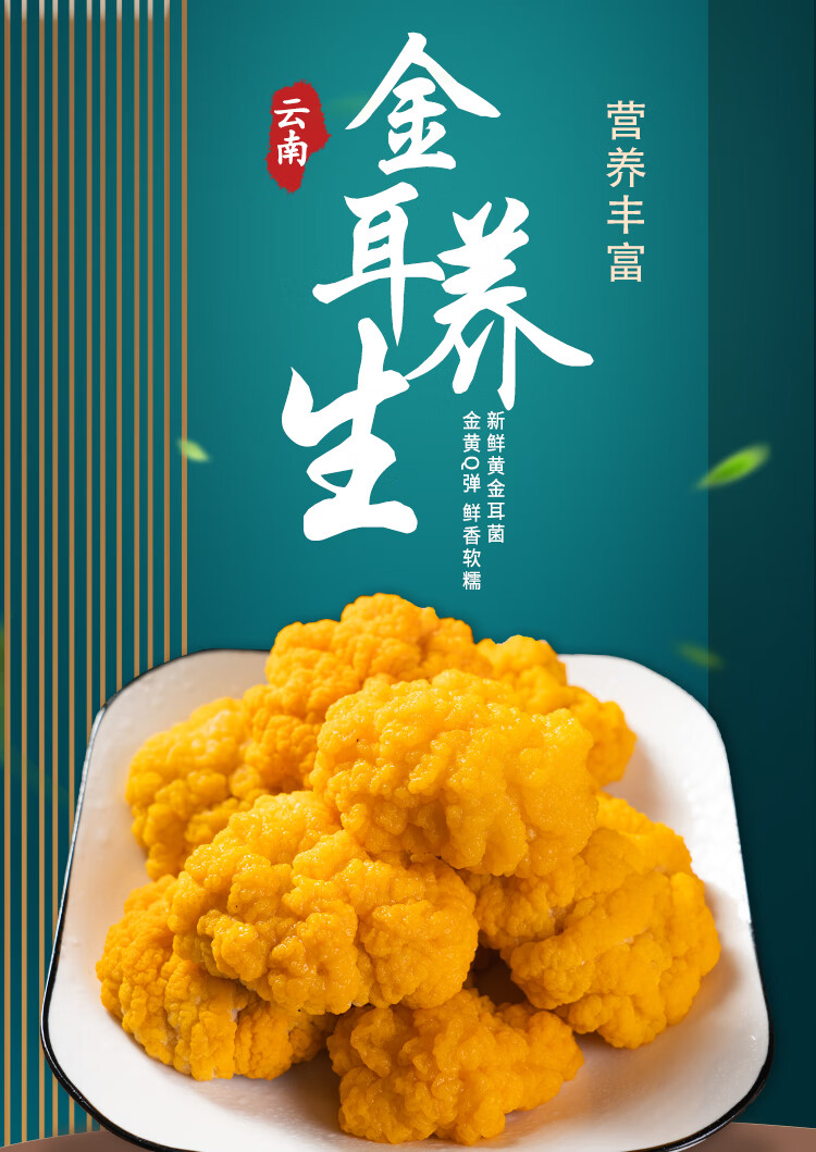 g煲汤食材云南特产黄金耳木耳黄耳菌 新鲜金耳菌 1000g【图片 价格