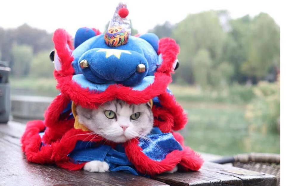 抖音宠物舞狮服狗衣服猫衣服 柯基比熊过年喜庆舞狮子狗狗猫咪醒狮