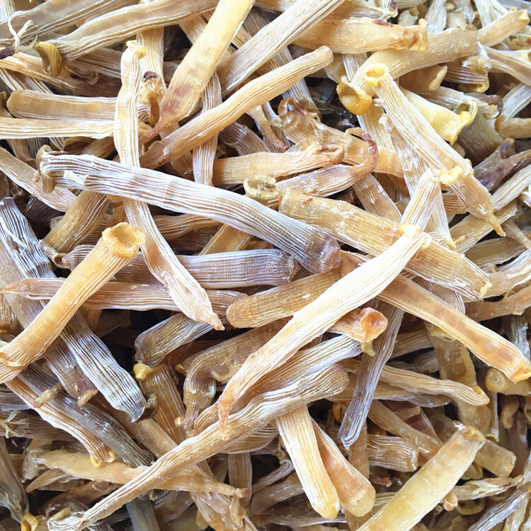 沙虫干即食沙虫干本港沙虫酒配盐焗沙虫福建脆香无沙免洗海肠子沙肠90