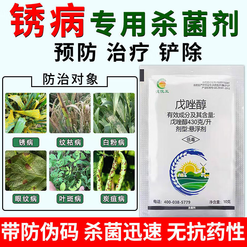 戊唑醇吡唑醚菌酯锈病专用叶斑病纹枯病小麦玉米水稻大蒜剂戊唑醇10g2