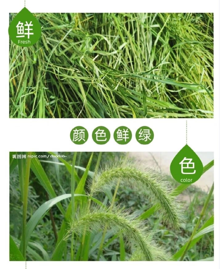 10047777995822商品名称:龙猫粮 提摩西干草牧草兔子龙猫荷兰猪豚鼠