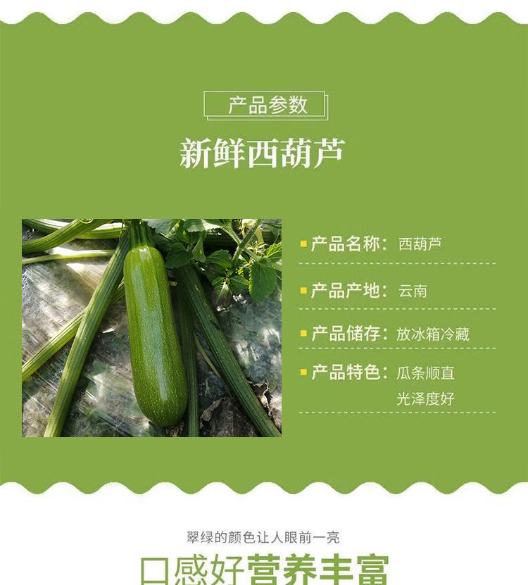 西葫芦生瓜三月小瓜番瓜倭茭瓜当季新鲜蔬菜云南现摘