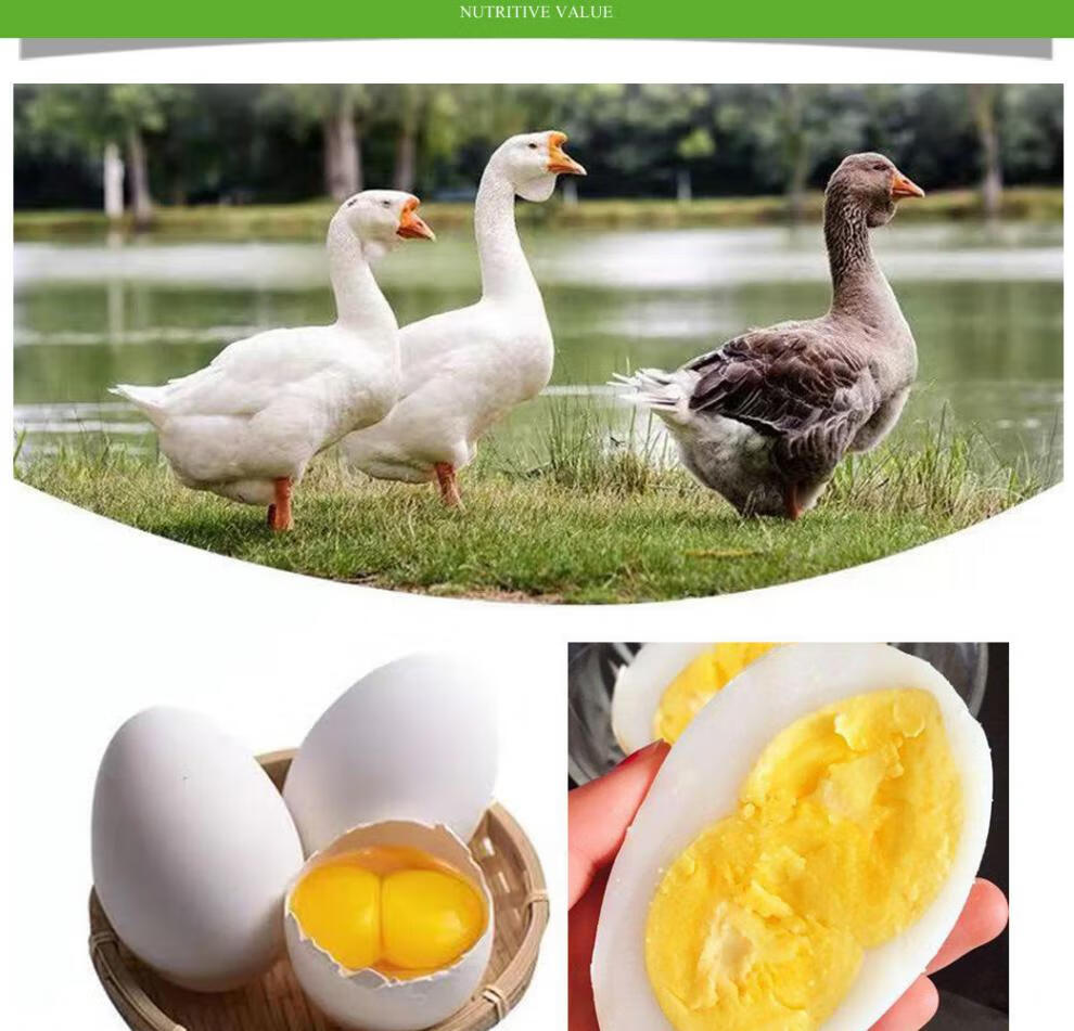 双黄土鹅蛋新鲜特大散双黄蛋6枚实惠装100g120g双黄居多高营12枚超值