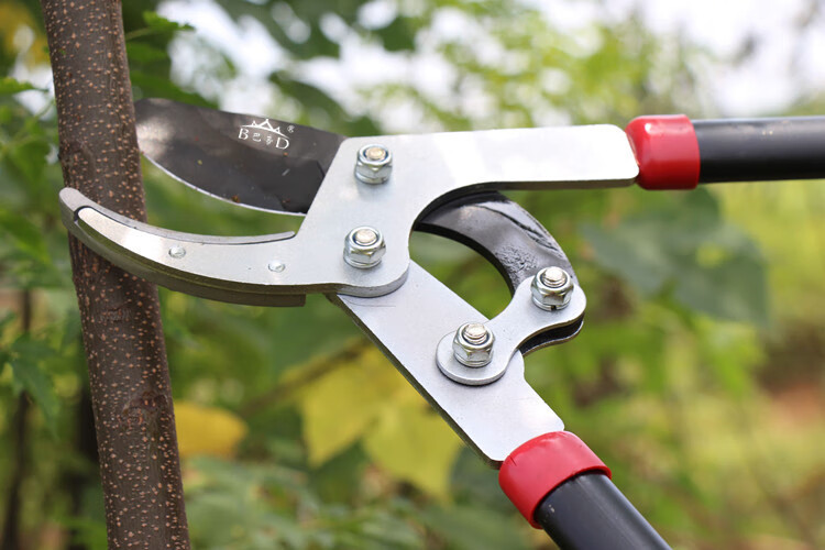 省力大剪刀粗枝剪大力剪 果树剪子强力家用修枝剪园艺园林工具 巴帝