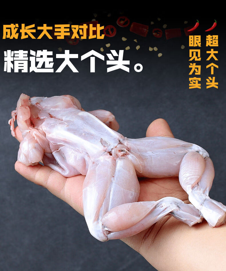 牛蛙肉批发新鲜鲜活加工冷冻去皮去内脏牛蛙腿牛蛙半成品 锦祥橙 牛蛙