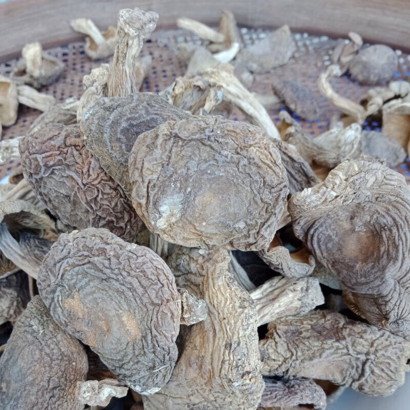 福建梨菇干货青头菌青面梨菇香菇干250g