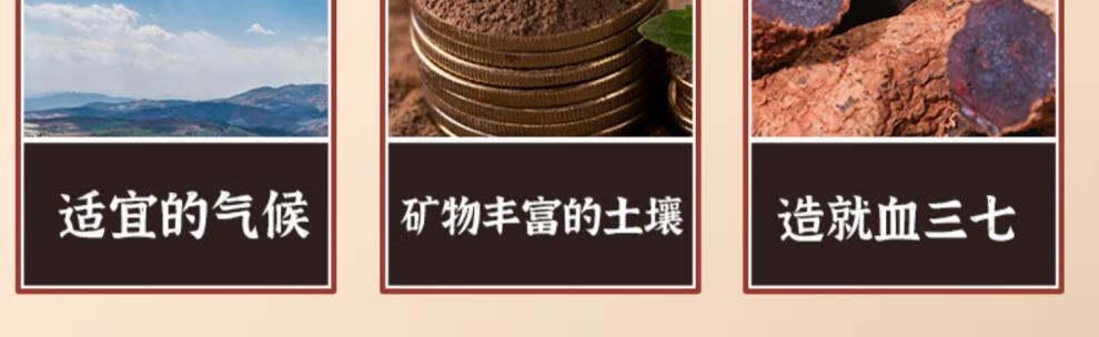 73cf0641de5c0edb.jpg