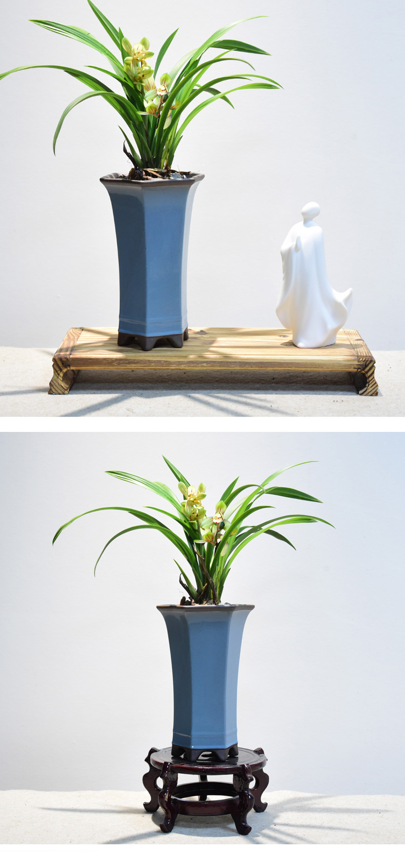 兰花绿植室内盆栽建兰盆景忆香荷花卉植物盆景办公室古风室内植物