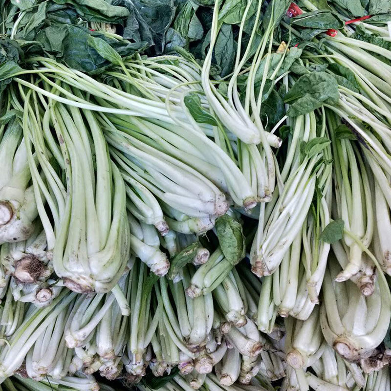 河南信阳罗山土特产腌菜长干菜箭杆白酸菜豫南名菜酱盐菜 1斤装【图片