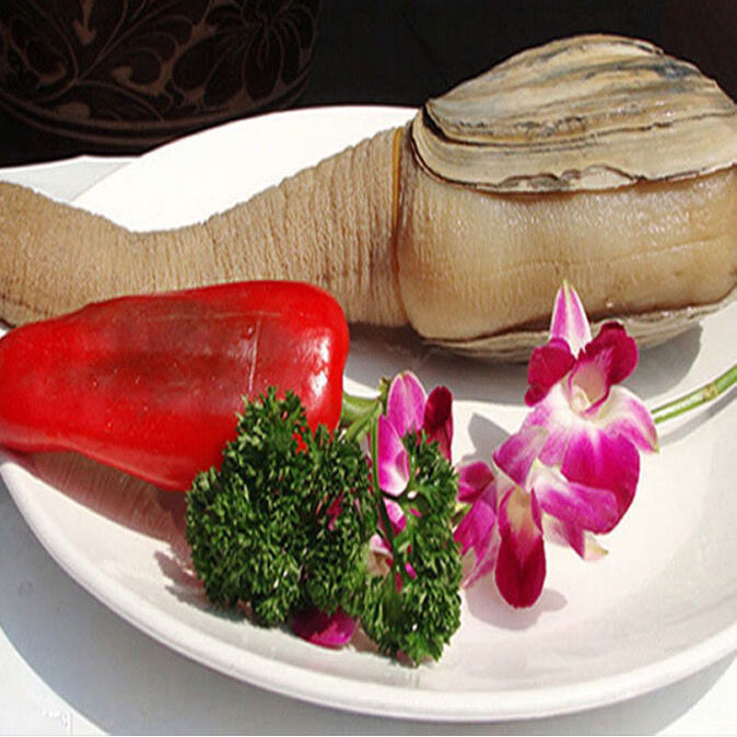 海鲜大象拔蚌生鲜鲜活冷冻香辣象鼻蚌切片刺身海鲜水产5070克