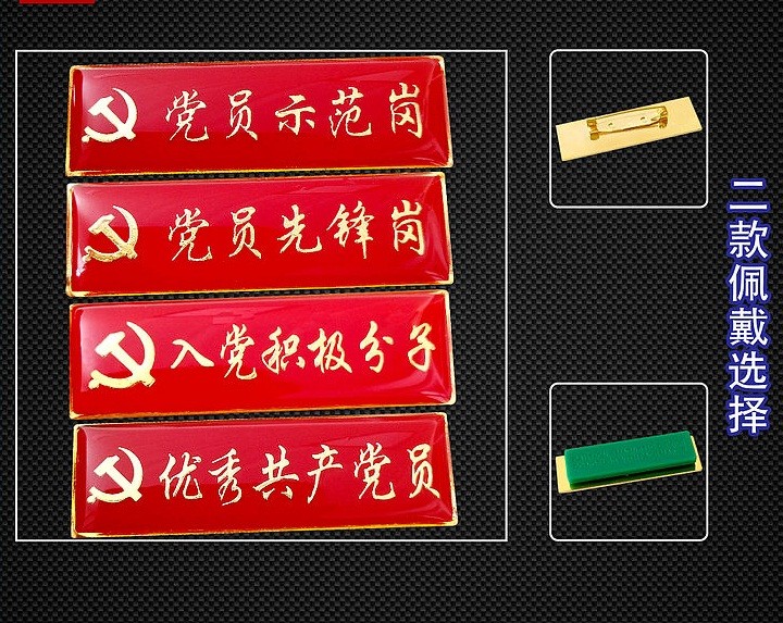 入党积极分子胸章示范岗党员先锋岗胸牌胸徽别针磁铁 员磁铁款10个装