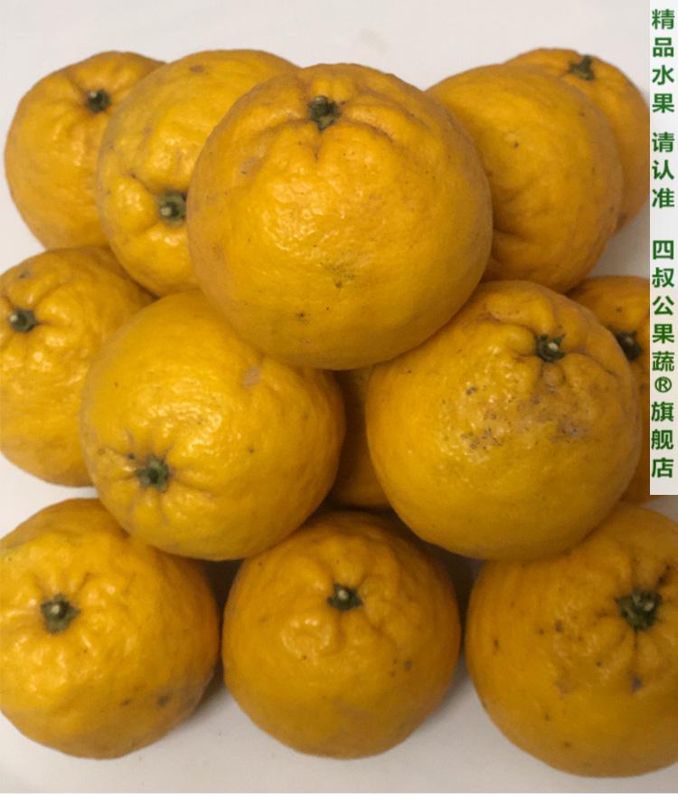 湖北臭皮柑 酸抛柑臭皮橘子抛柑新鲜黄皮水果苦酸泡柑酸柑子 精选果 5