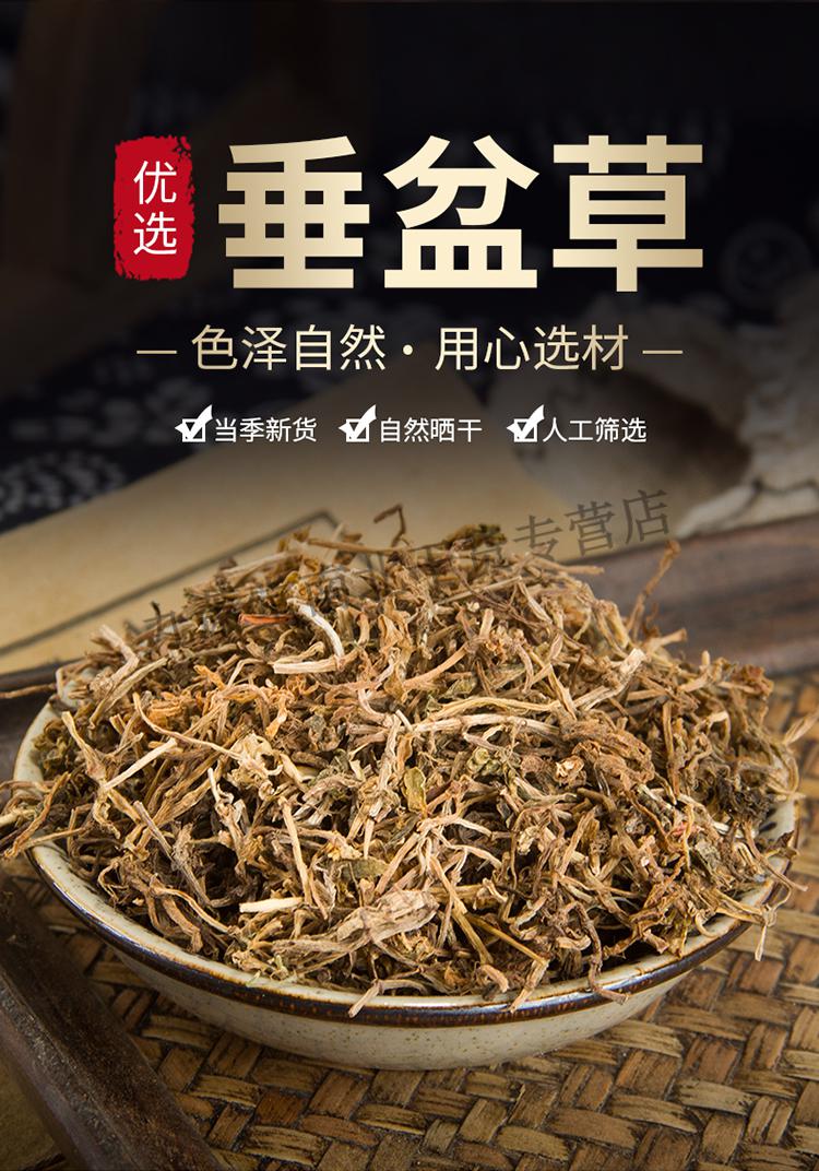 【官方】垂盆草 垂盆草干货 垂盆草茶垂盆草新货500克【图片 价格
