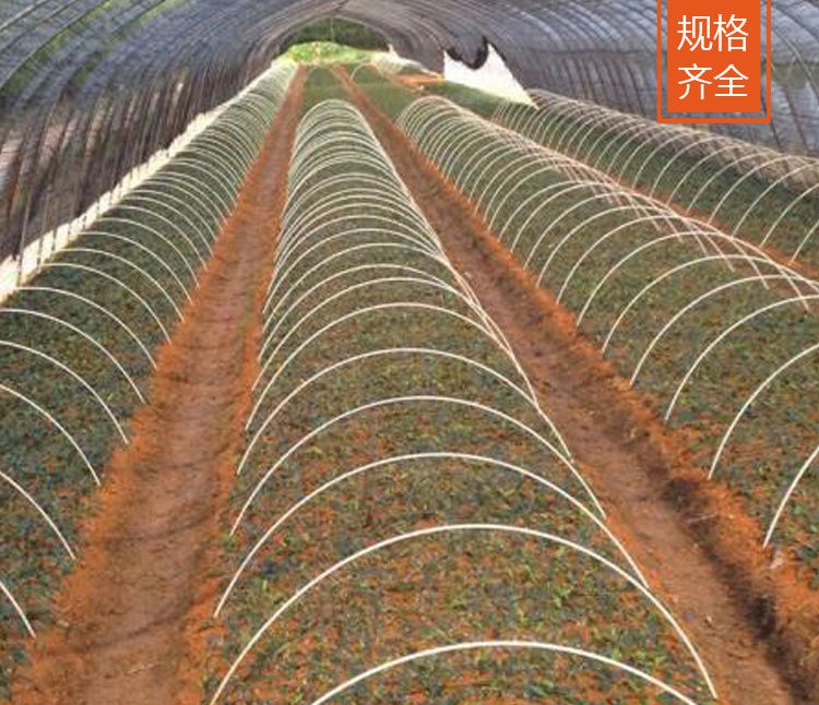 其六玻纤杆农用小拱棚支架蔬菜花卉育苗保温棚拱杆支架玻璃钢弹力棒