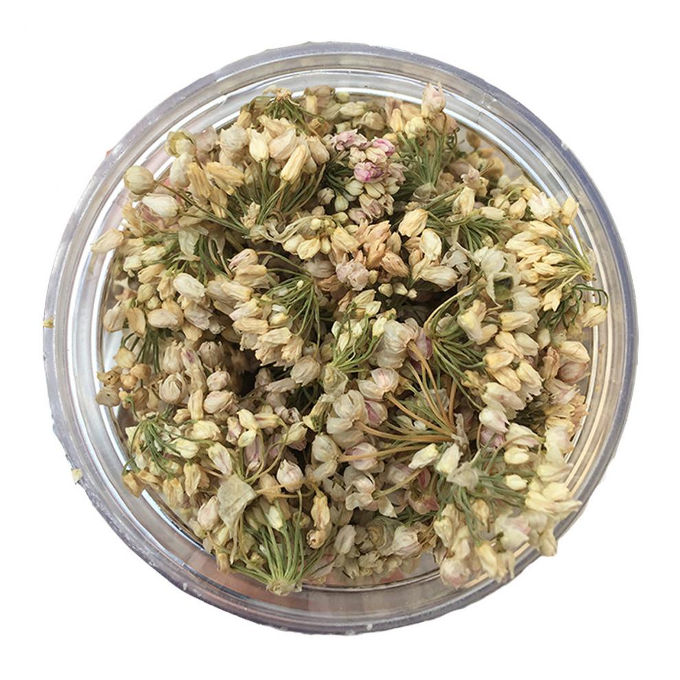 新头茬花野生山葱花麻麻花野葱花扎蒙花 花朵完整a级精选瓶装 礼盒装4