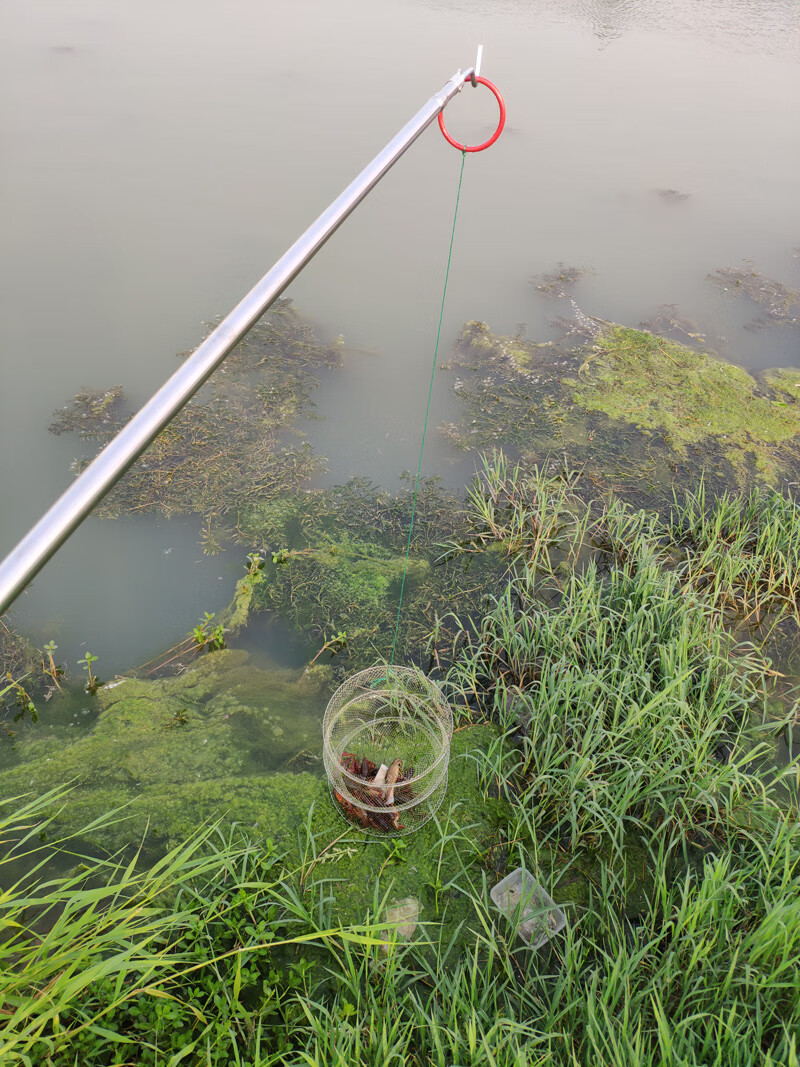 鱼笼虾笼 捕虾笼小号钓龙虾网笼虾笼神器折叠捕鱼网龙虾网捉螃蟹笼三