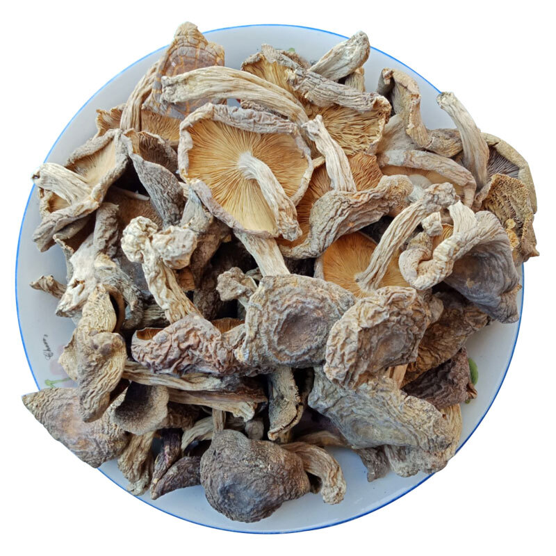 福建梨菇干货青头菌青面梨菇香菇干250g