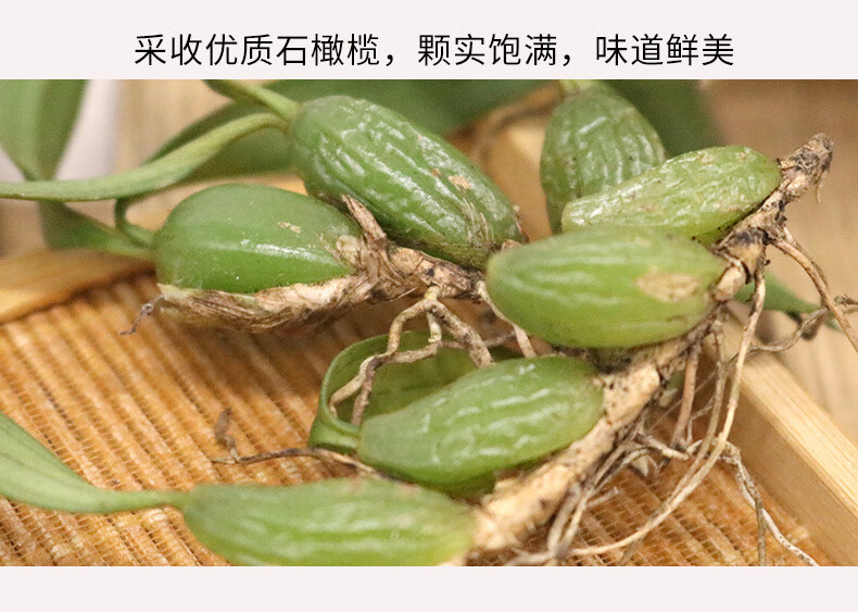 石橄欖新鮮500g雙葉中小號石仙桃果種植盆栽燉湯補品煲湯材料單葉