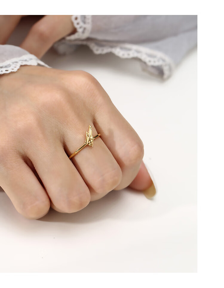 猛仕将假面骑士戒指情侣二次元假面骑士build金兔银龙戒指s925纯银