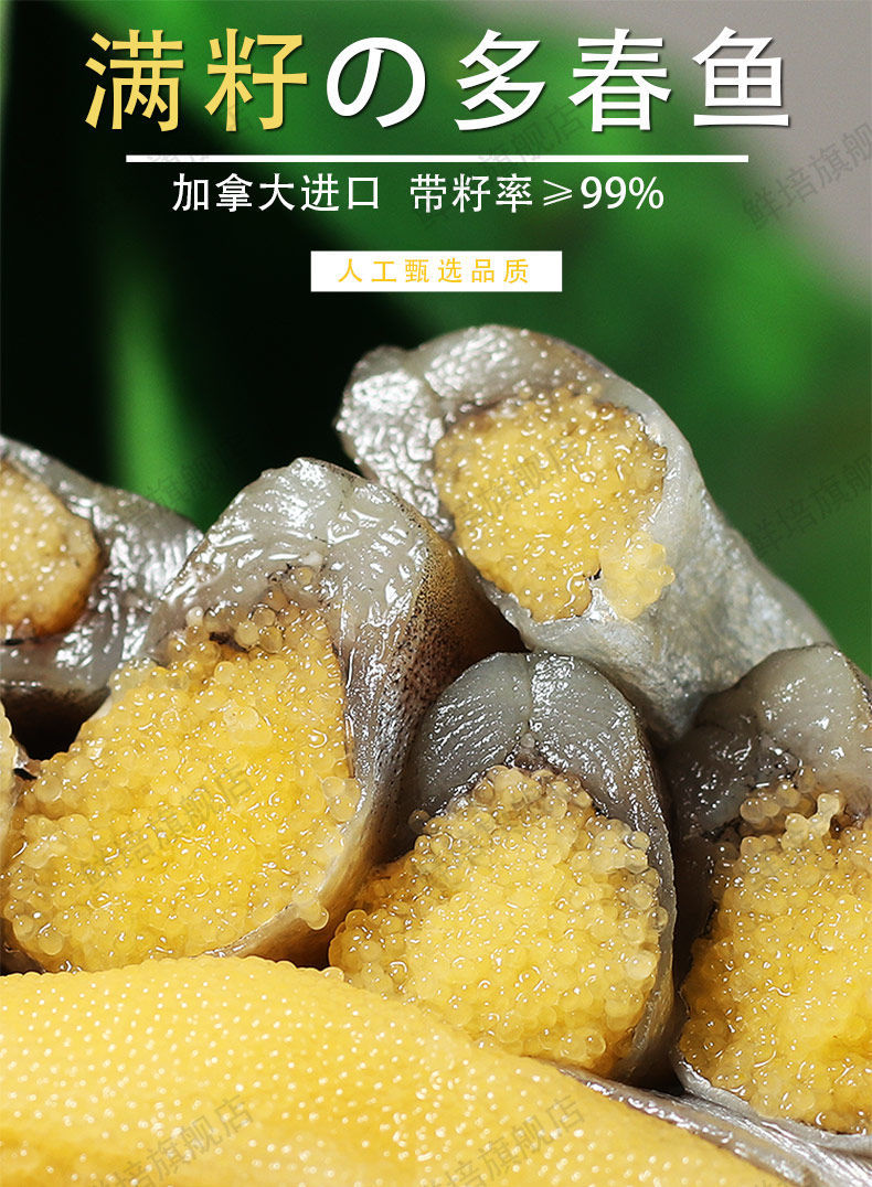 满籽多春鱼新鲜多籽鱼冷冻烧烤商用冰鲜特大带籽即食海鲜水产鱼籽五斤