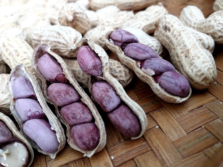 13年老店龙岩紫衣花生1000克连城湿烤咸干味2粒到4粒饱满脆酥香1000克