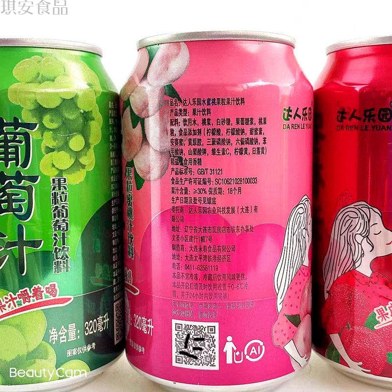 达人乐园果肉果粒葡萄汁杨梅汁荔枝汁蜜桃汁听装罐装饮品320ml荔枝汁