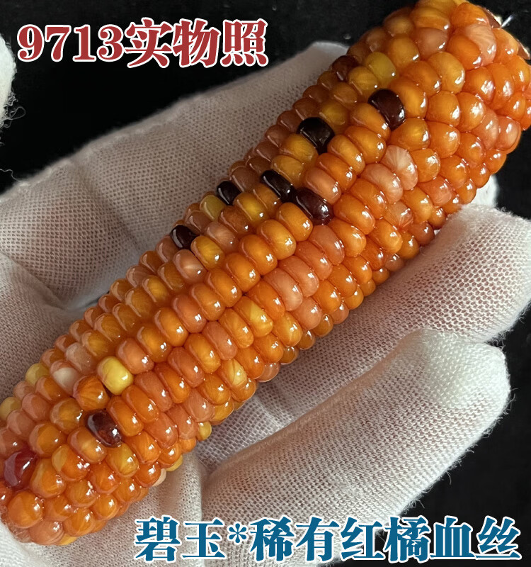 740d27b1442e4e55.jpg