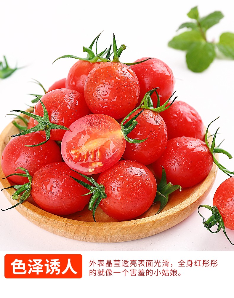 圣女果自然熟小西红柿千禧小番茄当季新鲜水果严选装5斤
