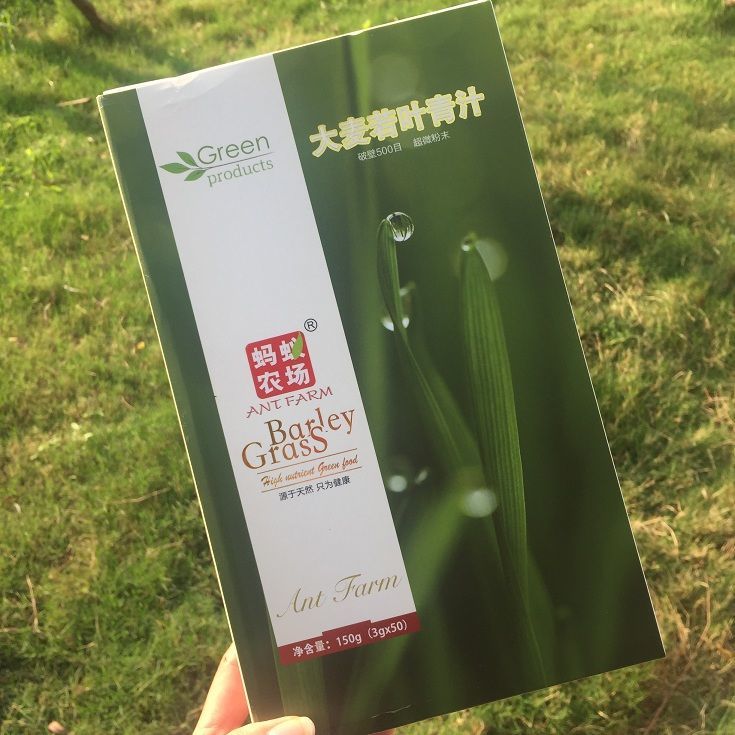 蚂蚁农场大麦若叶青汁大麦嫩苗粉微商同款代餐青汁粉503g5盒杯子5条共