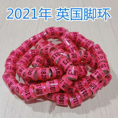 鸽子脚环2021年统一环信鸽用品用具元宝圆环鸽环足环记号环外国环 28