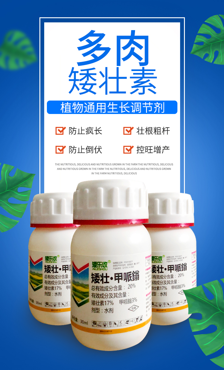 矮壮素多肉矮胖素花卉矮壮剂植物矮化剂水仙百合菊花控旺长壮矮素30g